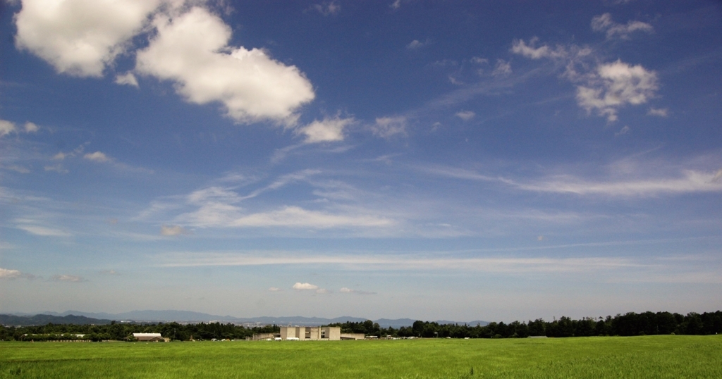 f:id:suger-sato:20100718113100j:plain f:id:suger-sato:20100718113100j:plain