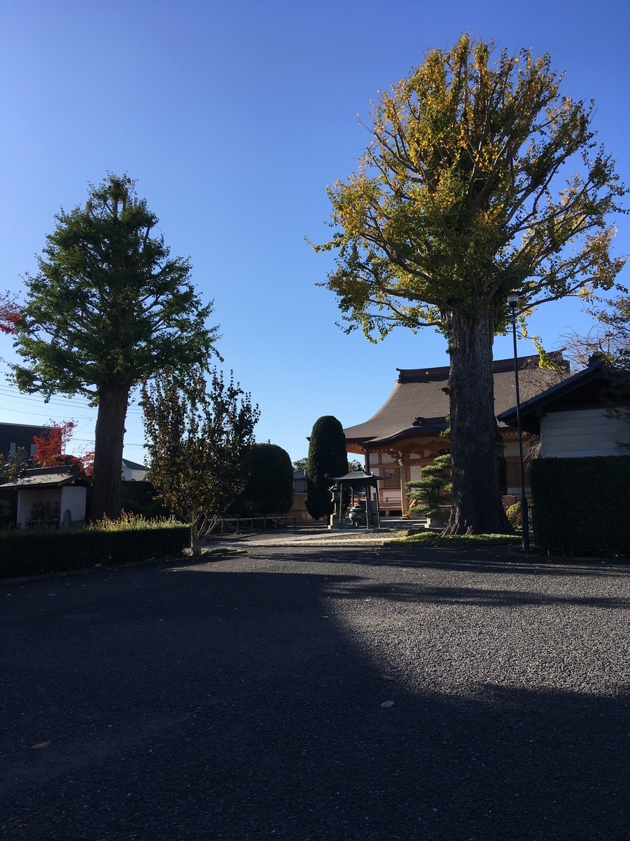 f:id:sugeta221:20201122015539j:plain