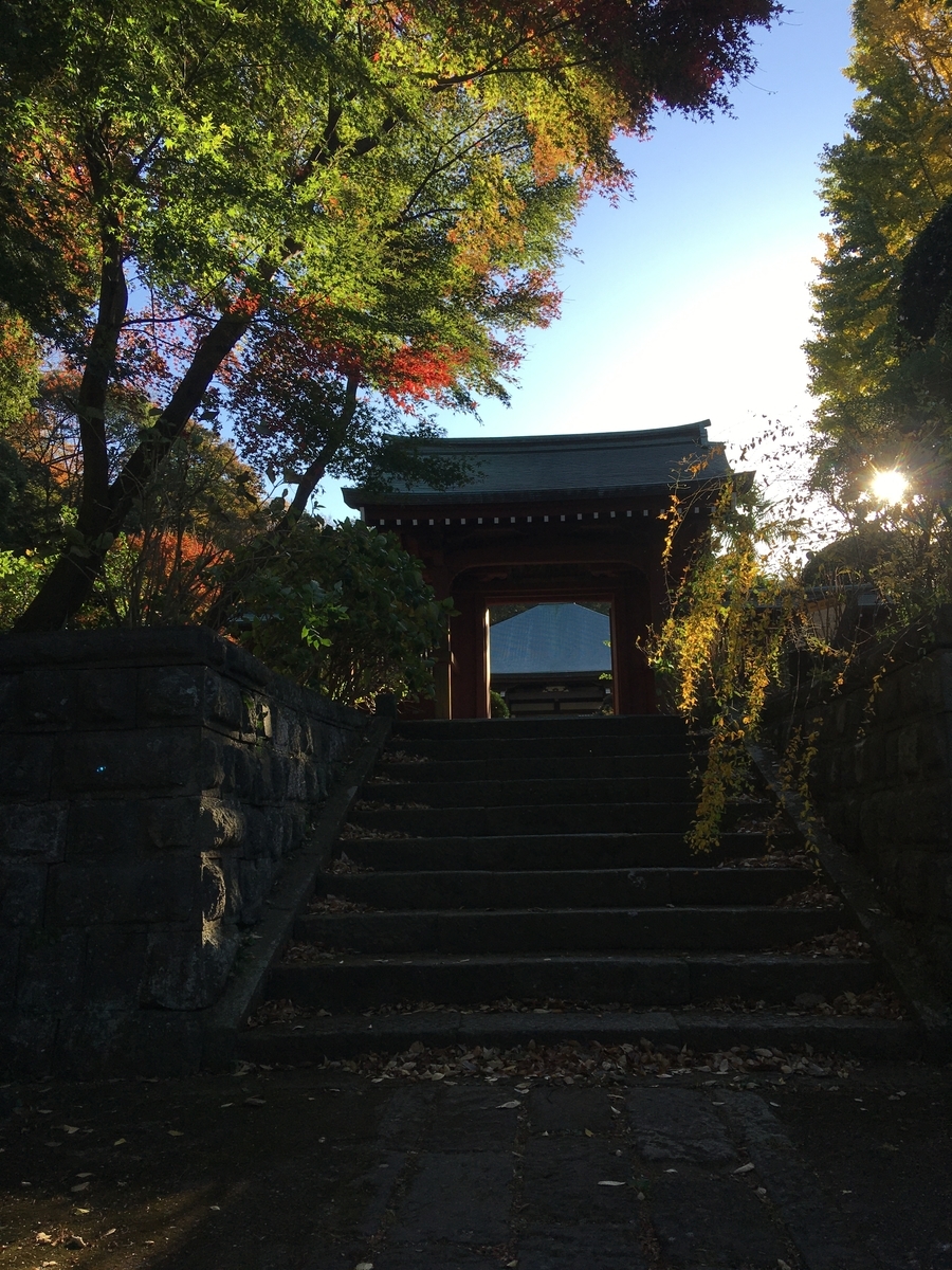 f:id:sugeta221:20201122021211j:plain