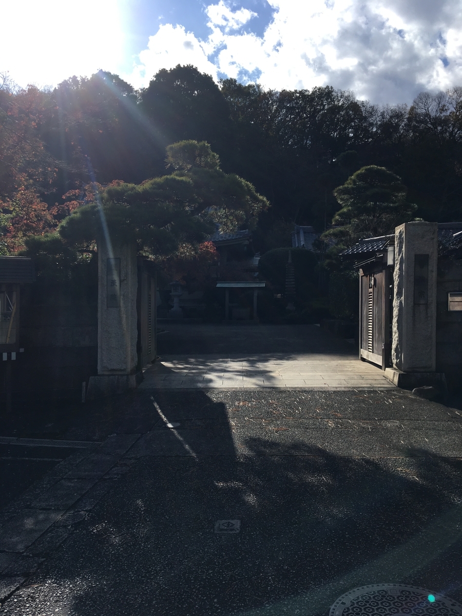 f:id:sugeta221:20201128213731j:plain