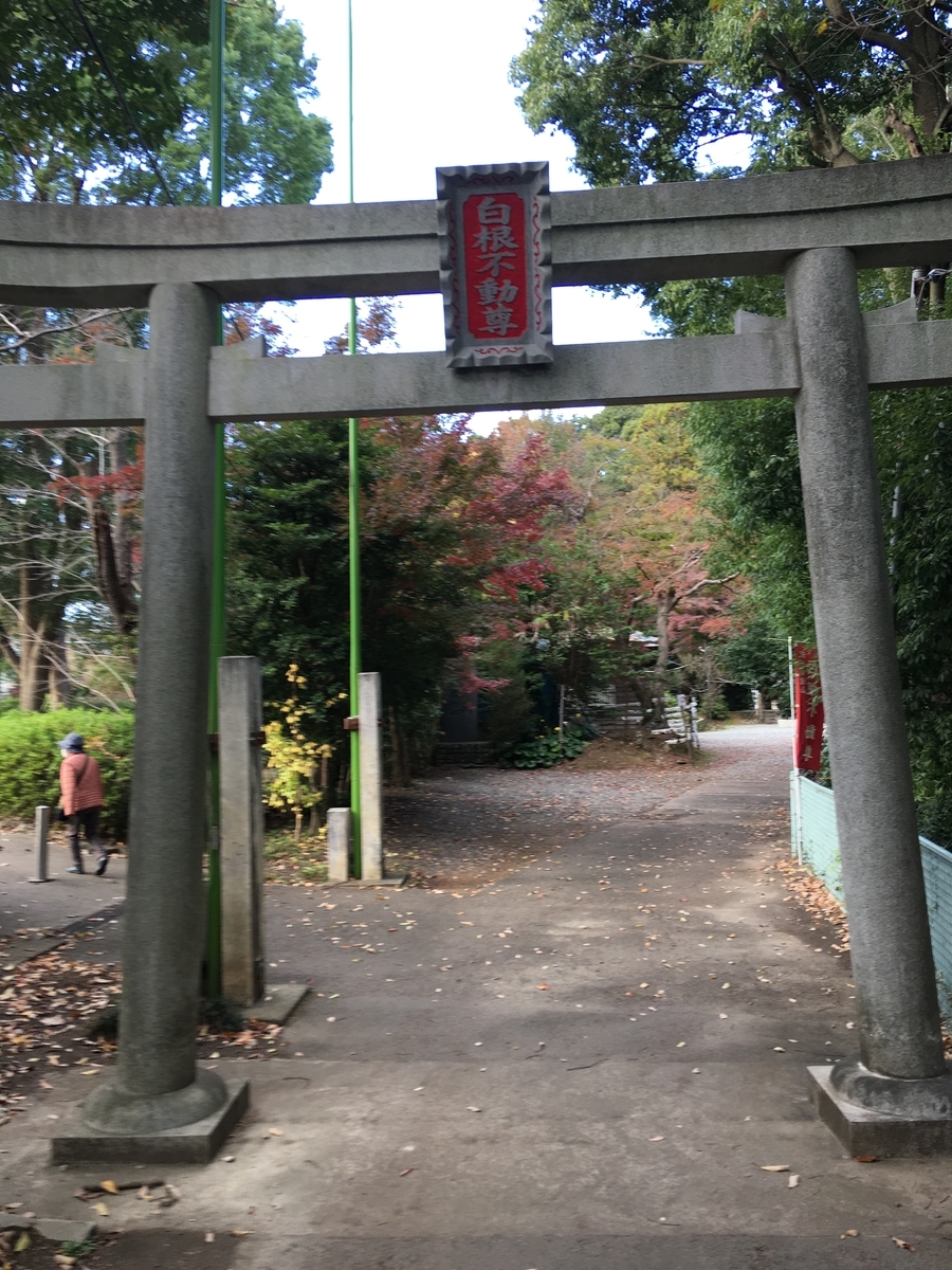 f:id:sugeta221:20201128214234j:plain