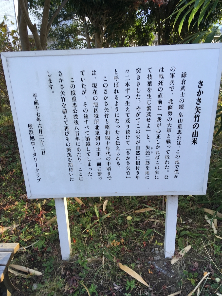 f:id:sugeta221:20201128215409j:plain