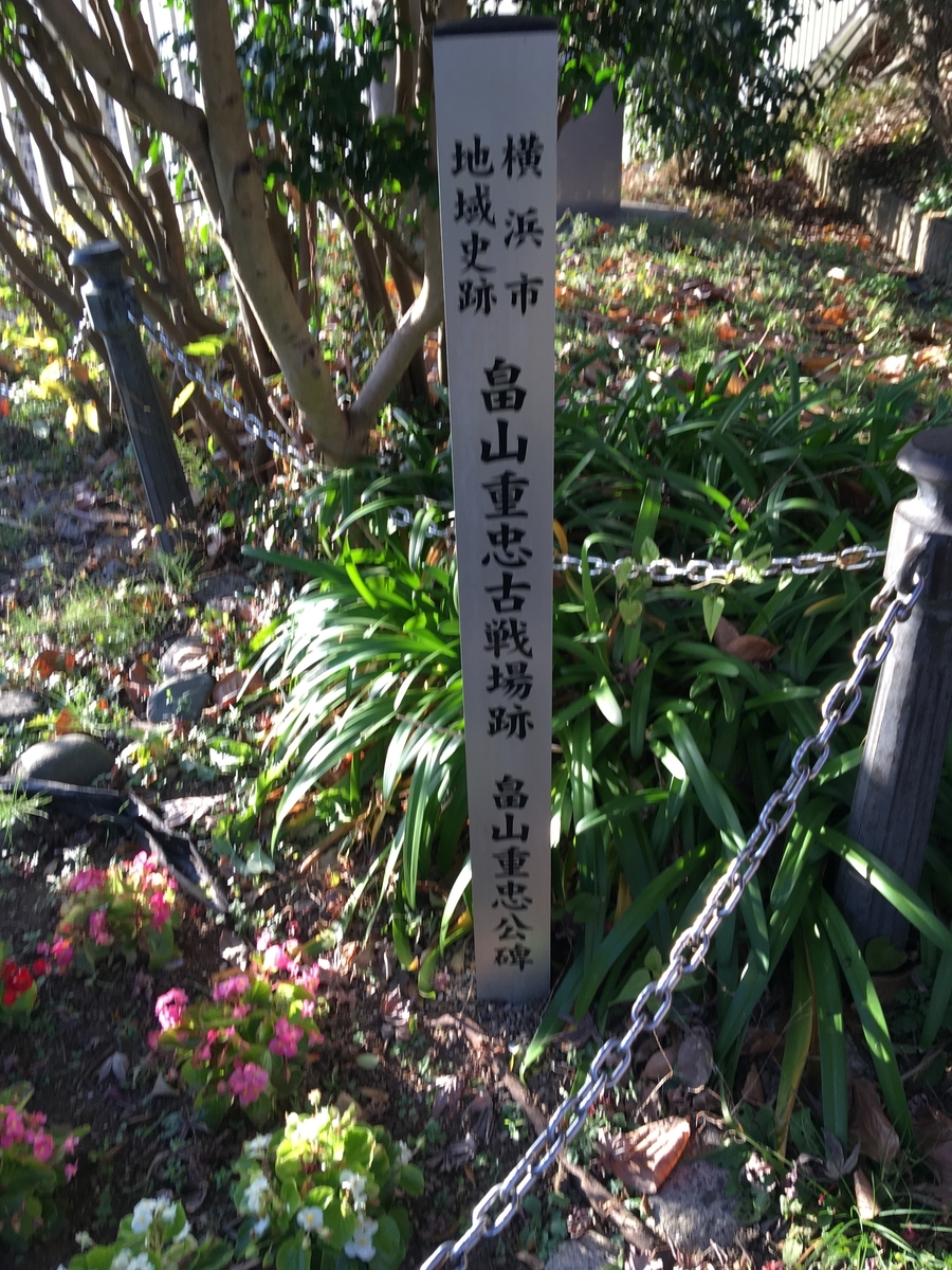 f:id:sugeta221:20201128215637j:plain