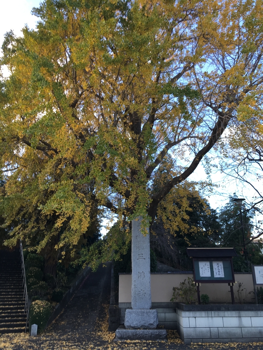 f:id:sugeta221:20201128220233j:plain