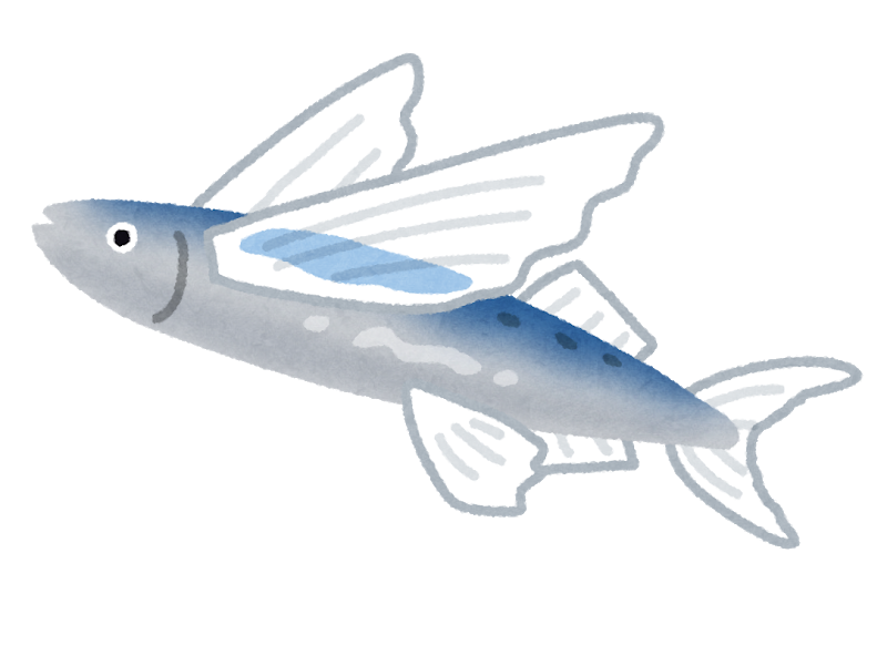 無胃魚 すぎぶろ