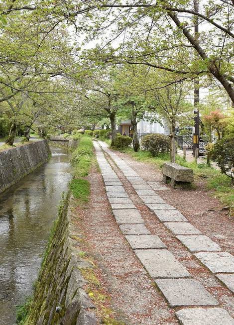 f:id:sugi-blog:20211211041322j:plain