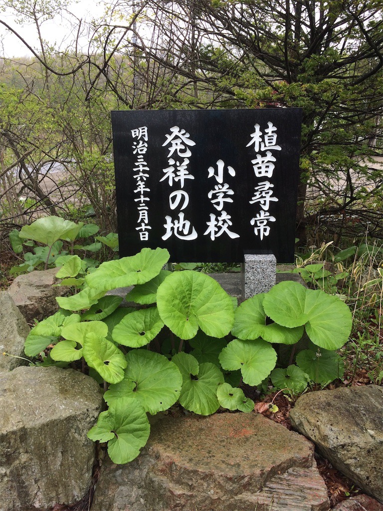 f:id:sugi0144:20200616113213j:image