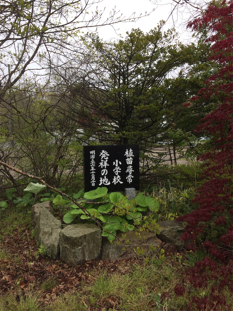 f:id:sugi0144:20200616113254j:image
