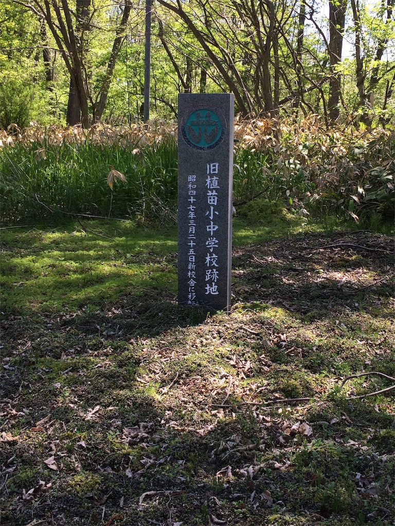 f:id:sugi0144:20200616115243j:image