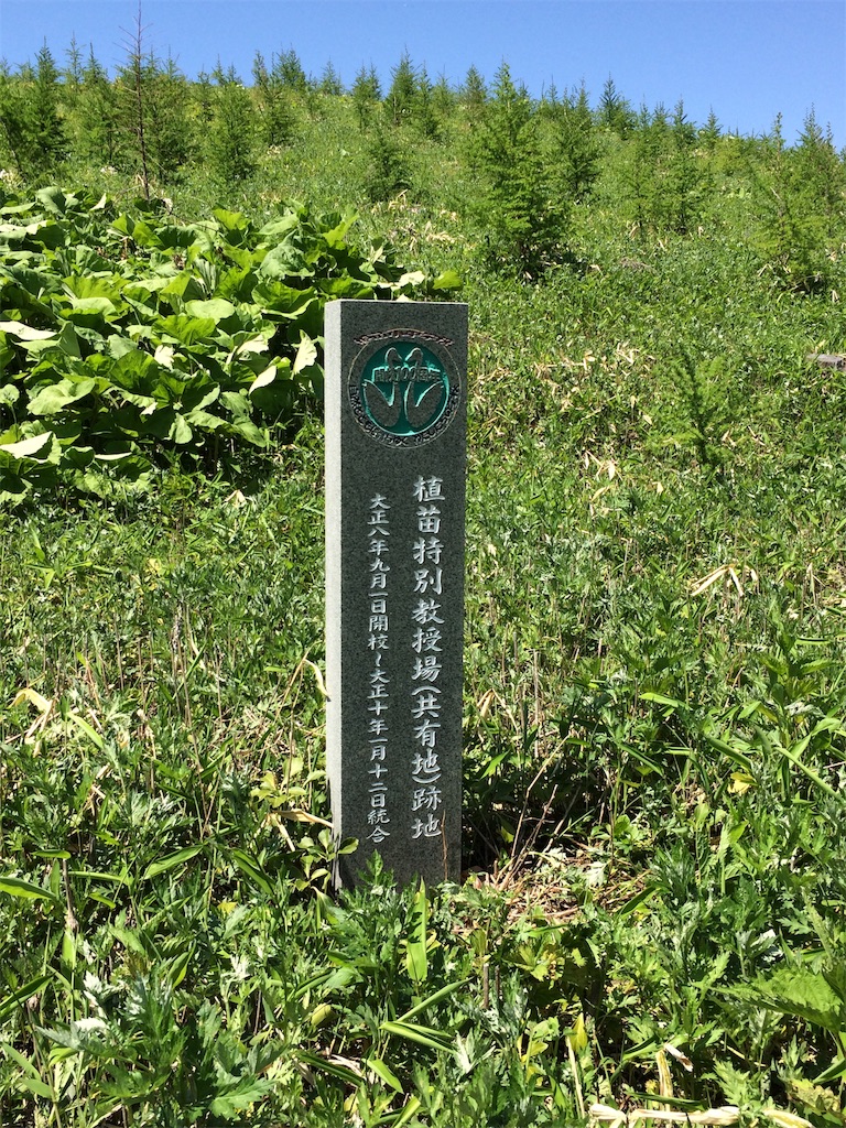 f:id:sugi0144:20200616120754j:image