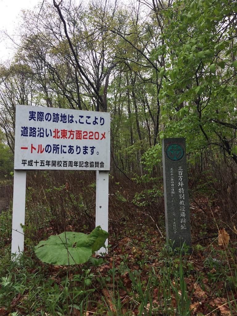 f:id:sugi0144:20200616121352j:image