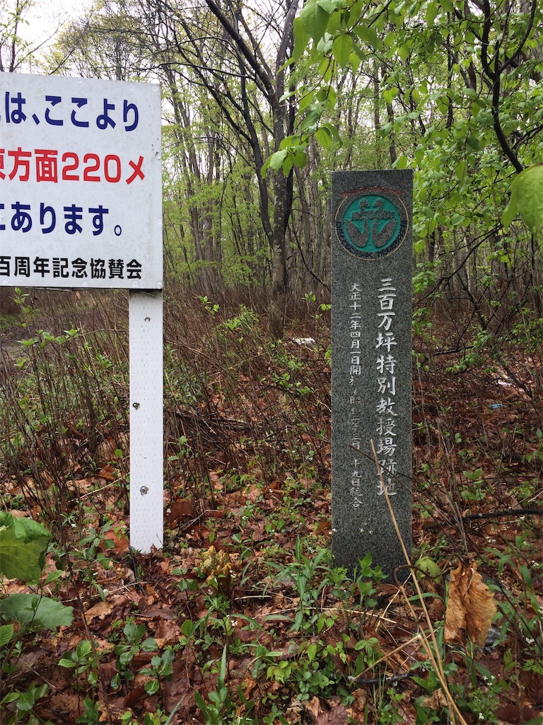 f:id:sugi0144:20200616121542j:image