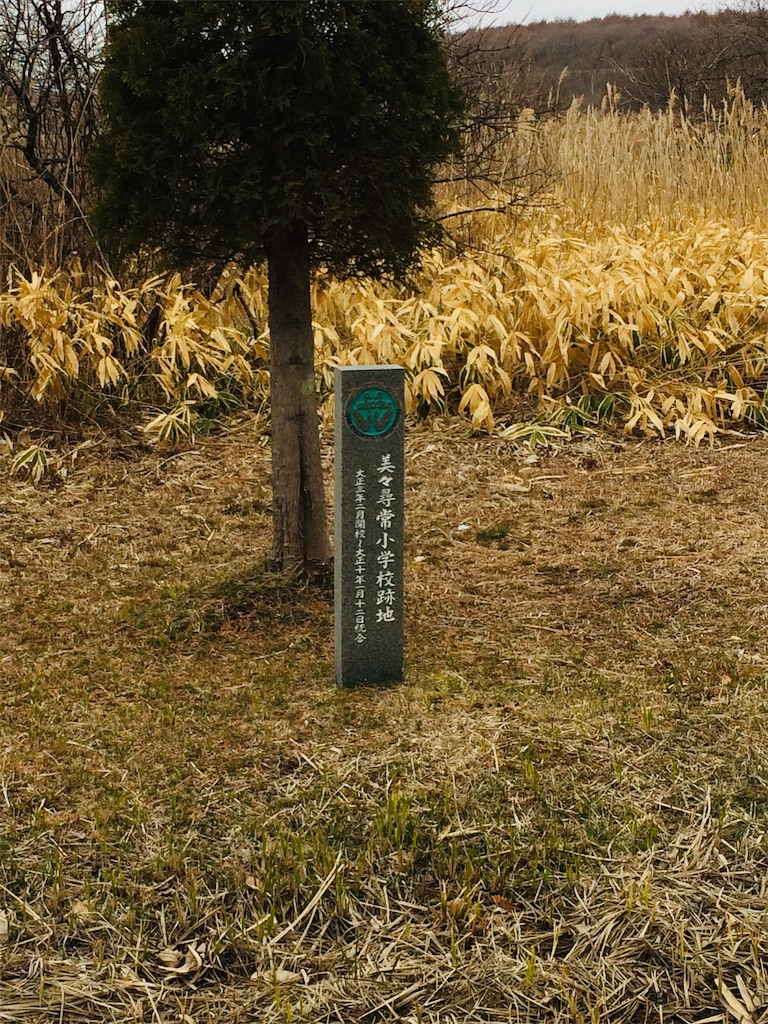 f:id:sugi0144:20200616122755j:image