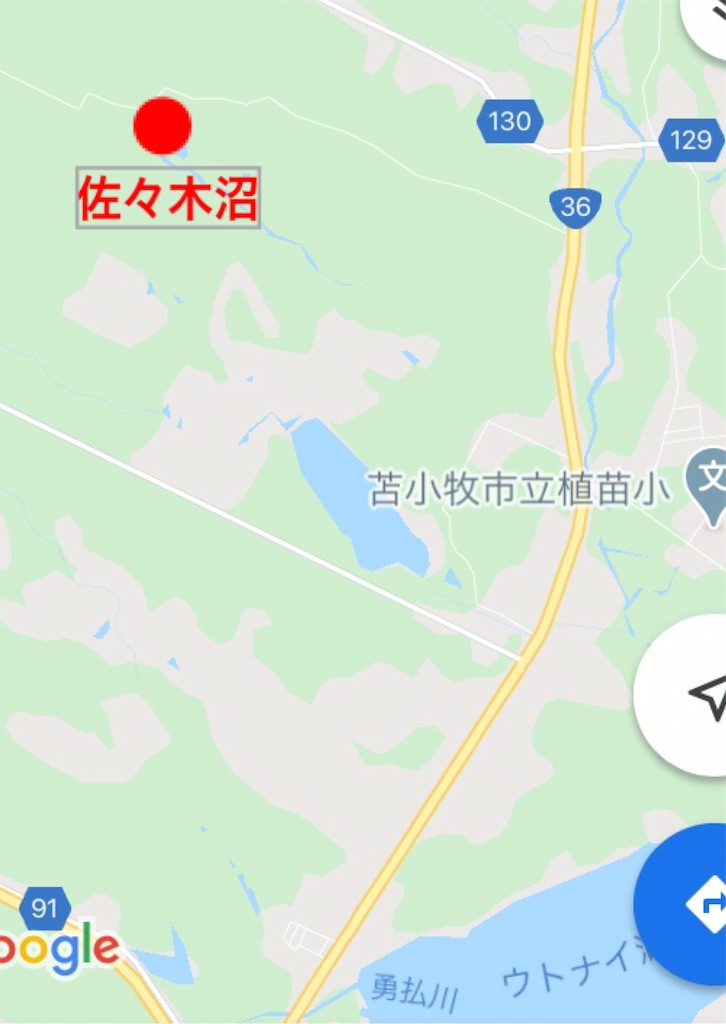 f:id:sugi0144:20200617112938j:image