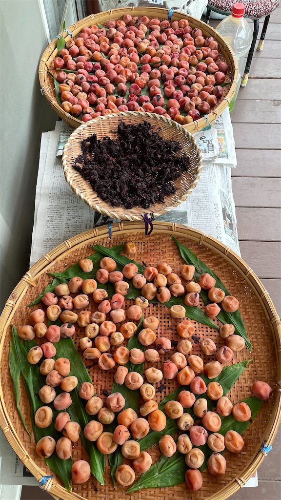 f:id:sugi0713:20250711002723j:image