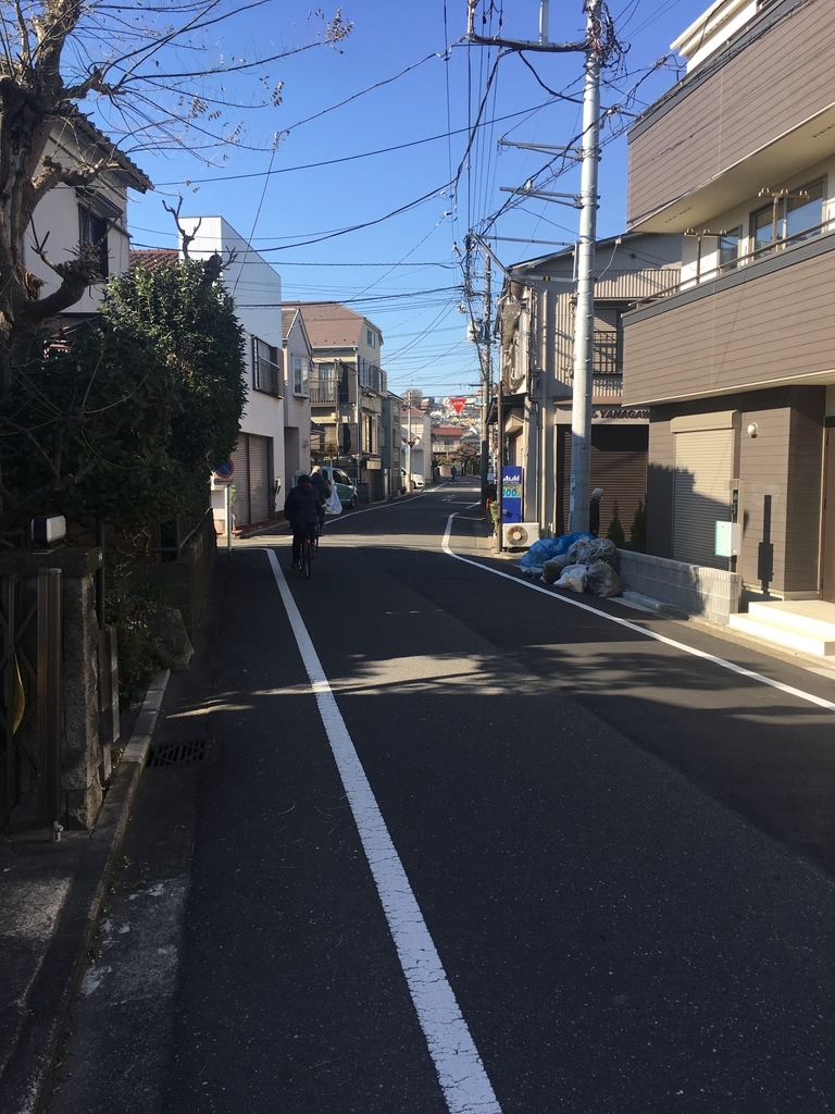 f:id:sugi_chan:20190104131316j:plain f:id:sugi_chan:20190104131316j:plain