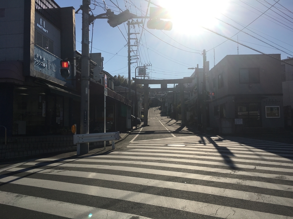 f:id:sugi_chan:20190104132520j:plain f:id:sugi_chan:20190104132520j:plain