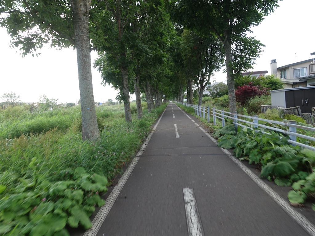 f:id:sugiblues:20260830091457j:image f:id:sugiblues:20260830091457j:image