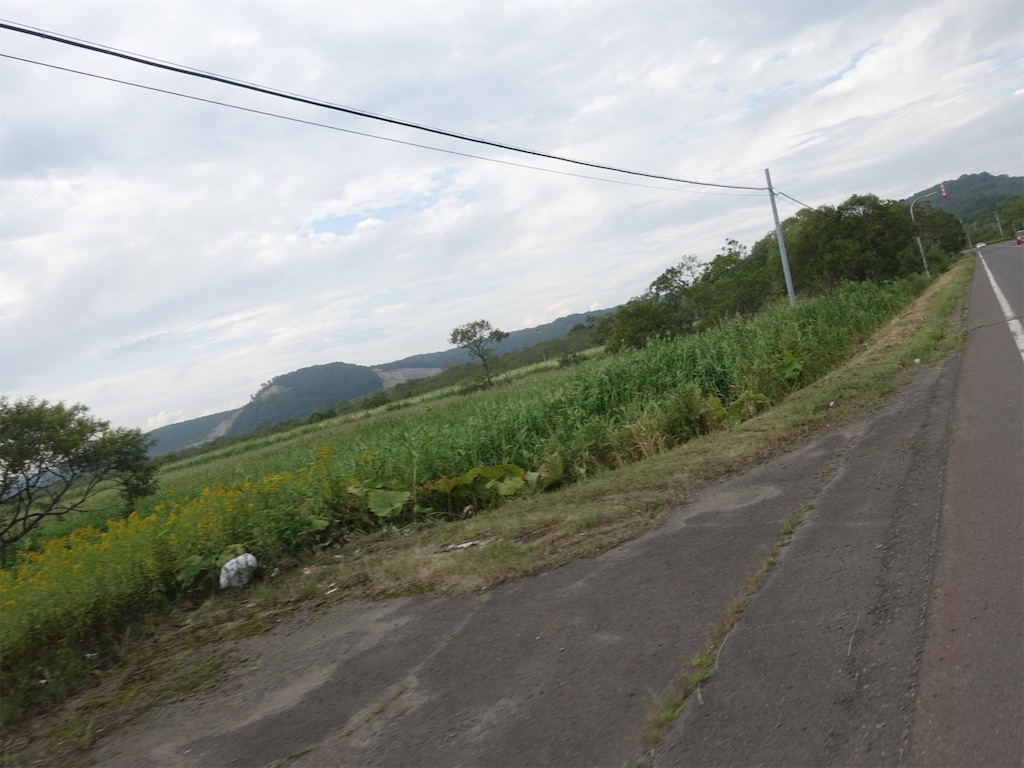 f:id:sugiblues:20260830091501j:image f:id:sugiblues:20260830091501j:image