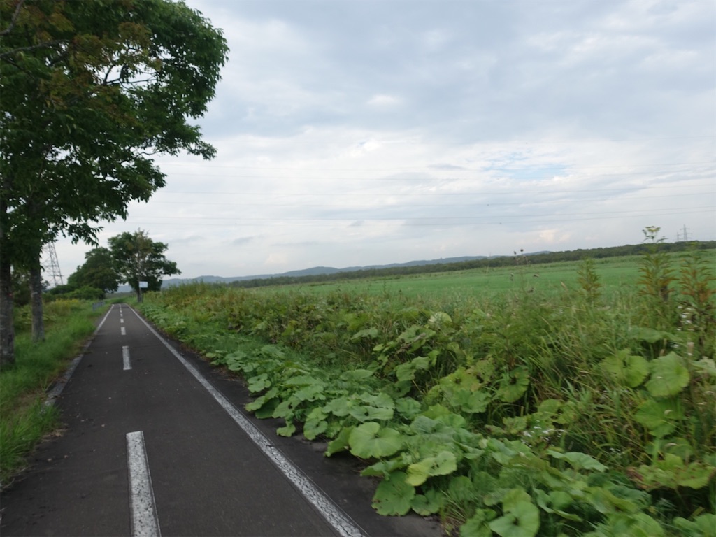 f:id:sugiblues:20260830115540j:image f:id:sugiblues:20260830115540j:image