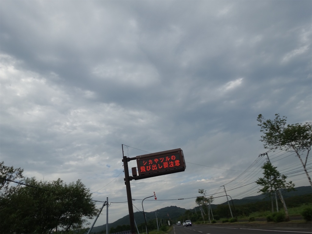 f:id:sugiblues:20260830115549j:image f:id:sugiblues:20260830115549j:image