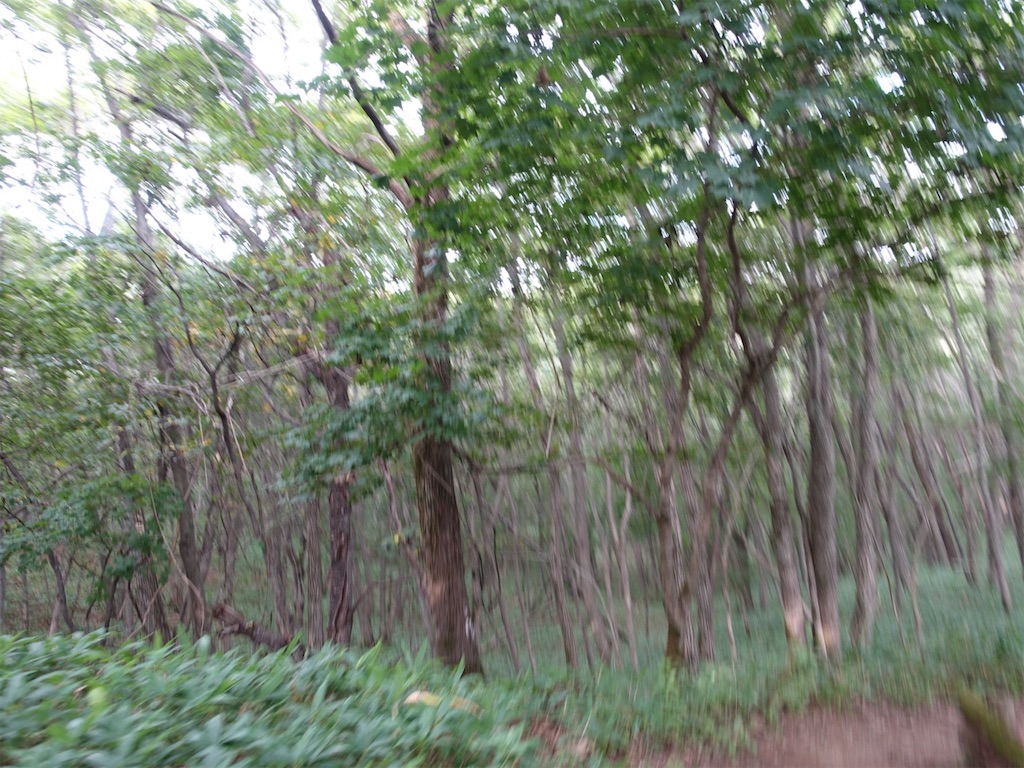 f:id:sugiblues:20260904192044j:image f:id:sugiblues:20260904192044j:image