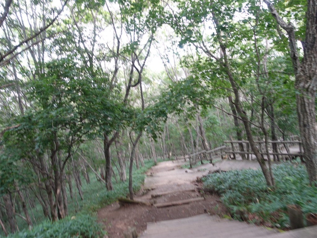 f:id:sugiblues:20260904192059j:image f:id:sugiblues:20260904192059j:image