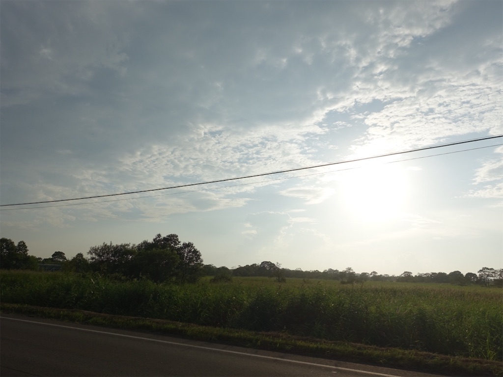 f:id:sugiblues:20260904225653j:image f:id:sugiblues:20260904225653j:image