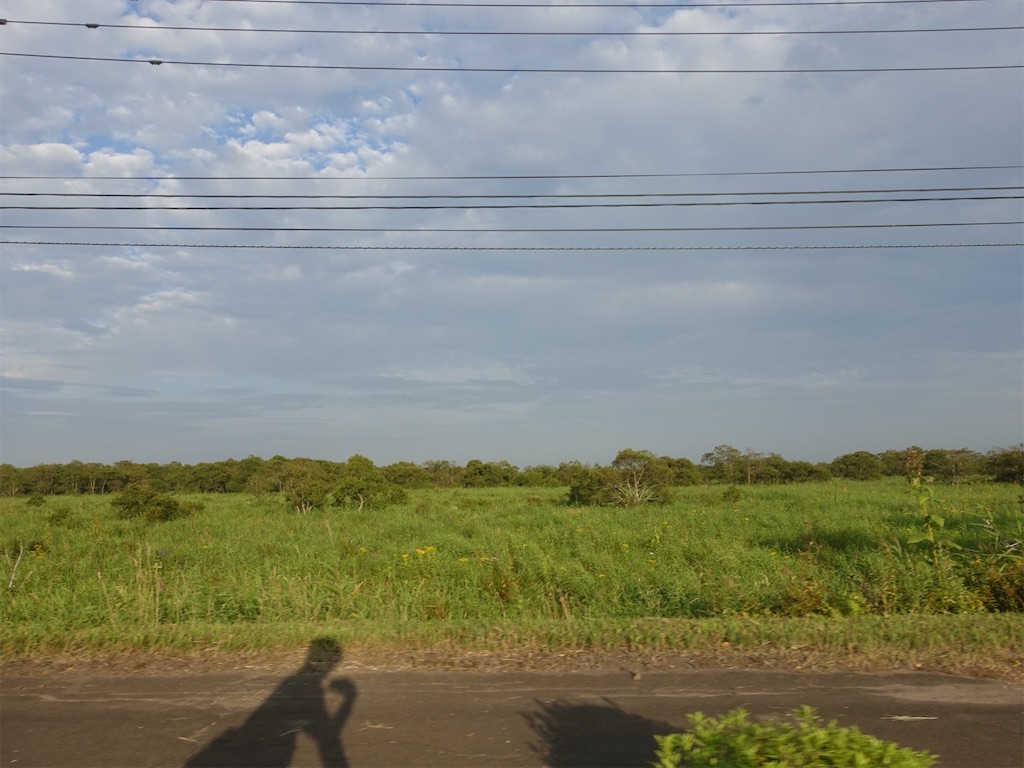 f:id:sugiblues:20260904225726j:image f:id:sugiblues:20260904225726j:image