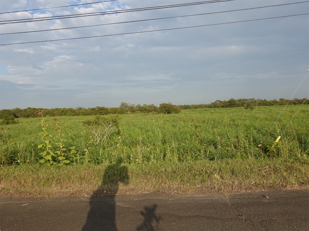 f:id:sugiblues:20260904225738j:image f:id:sugiblues:20260904225738j:image
