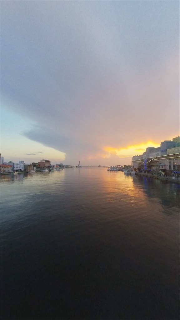 f:id:sugiblues:20260905222245j:image f:id:sugiblues:20260905222245j:image