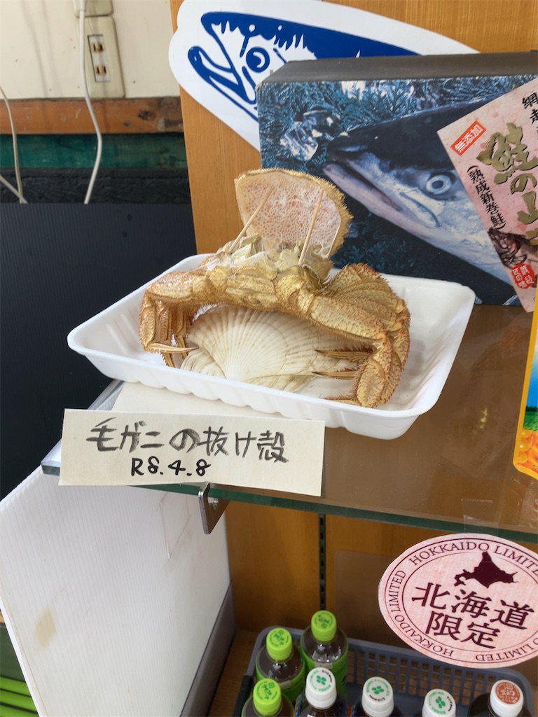 f:id:sugiblues:20260918082306j:image f:id:sugiblues:20260918082306j:image