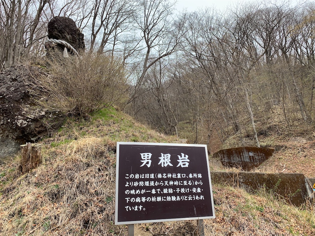 f:id:sugiken17:20210425185345j:image