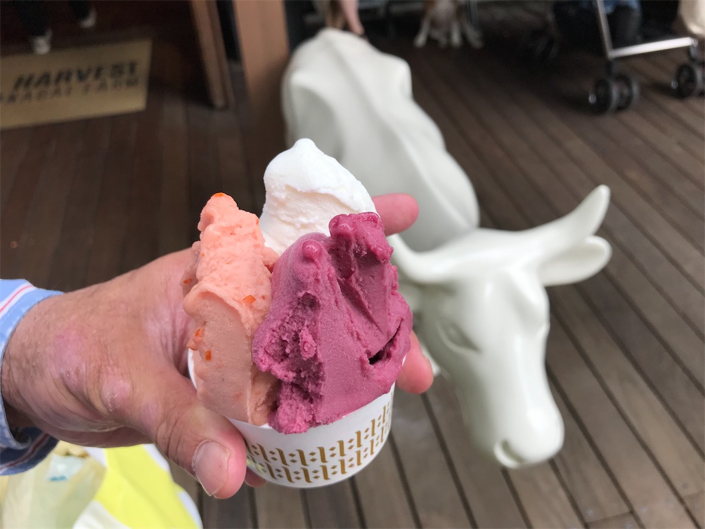 f:id:sugimari39108:20190916205128j:plain f:id:sugimari39108:20190916205128j:plain