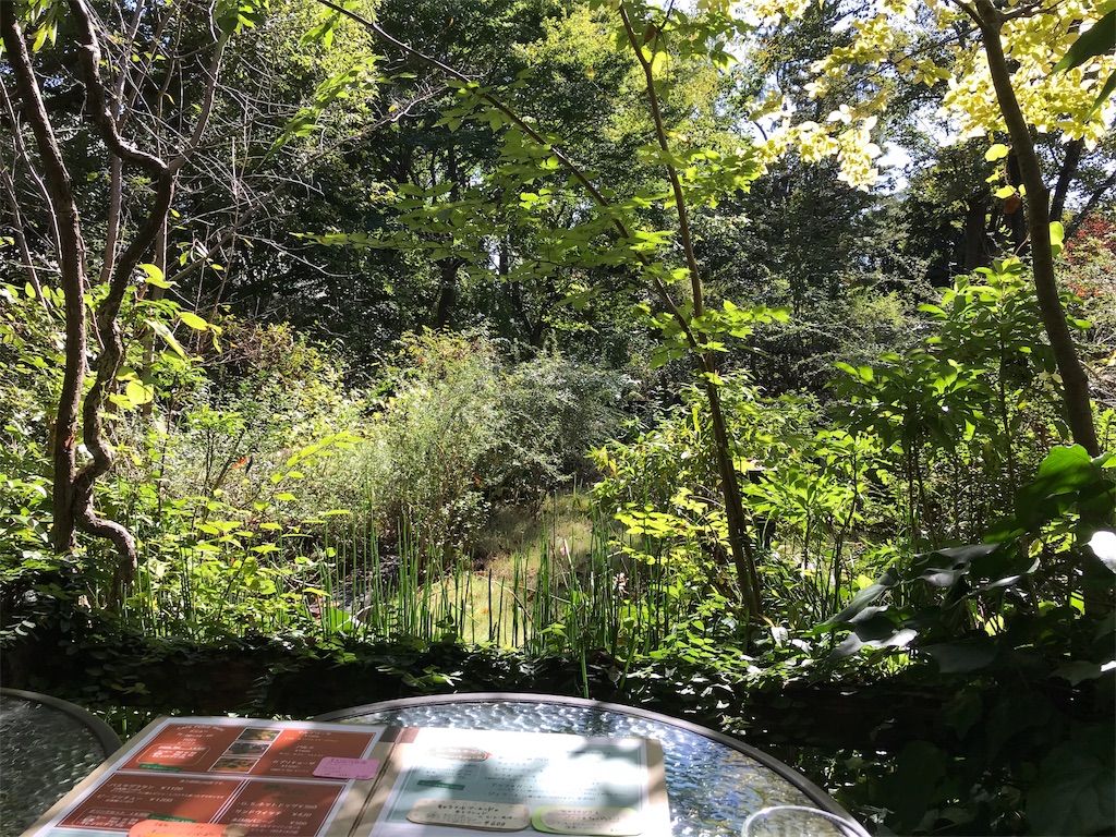f:id:sugimari39108:20191023131557j:image f:id:sugimari39108:20191023131557j:image