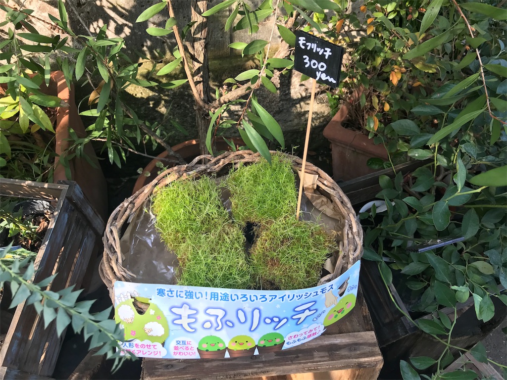 f:id:sugimari39108:20191023143839j:plain f:id:sugimari39108:20191023143839j:plain