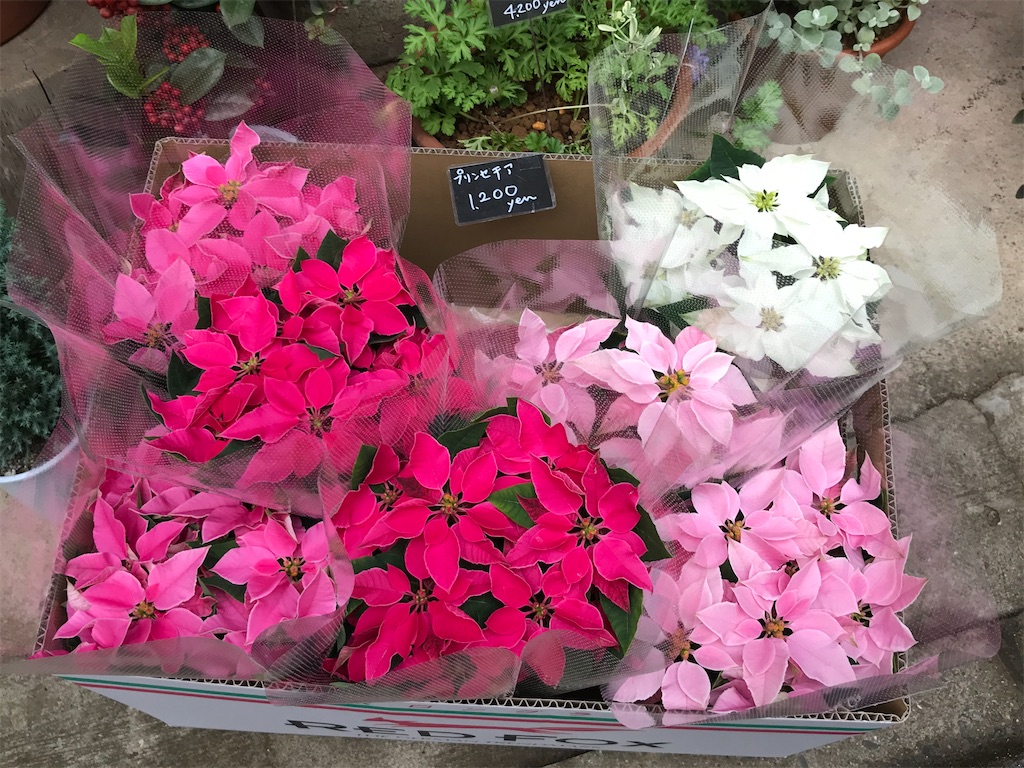 f:id:sugimari39108:20191210175643j:plain f:id:sugimari39108:20191210175643j:plain