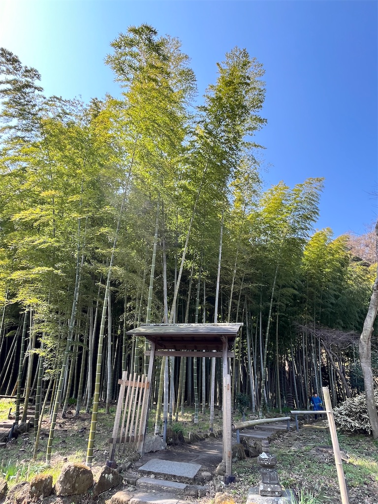 f:id:sugimari39108:20240317130246j:image