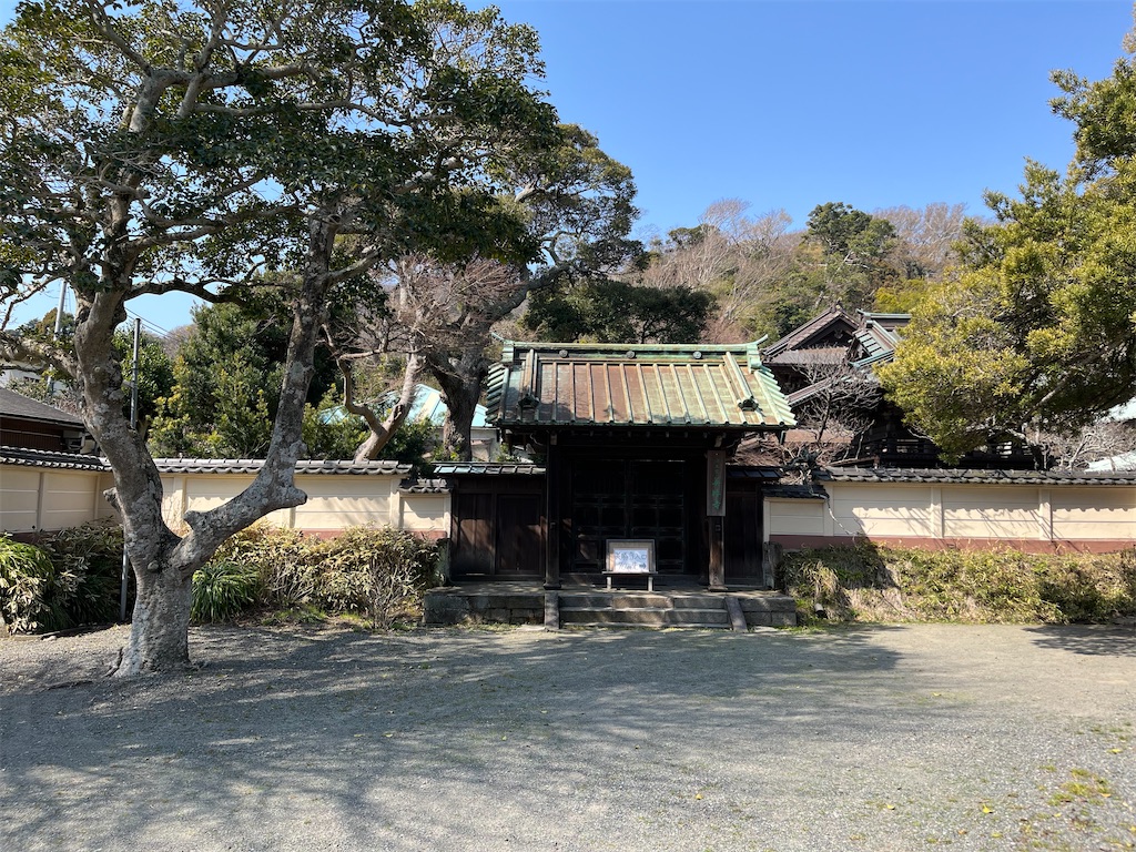 f:id:sugimari39108:20240317160725j:image