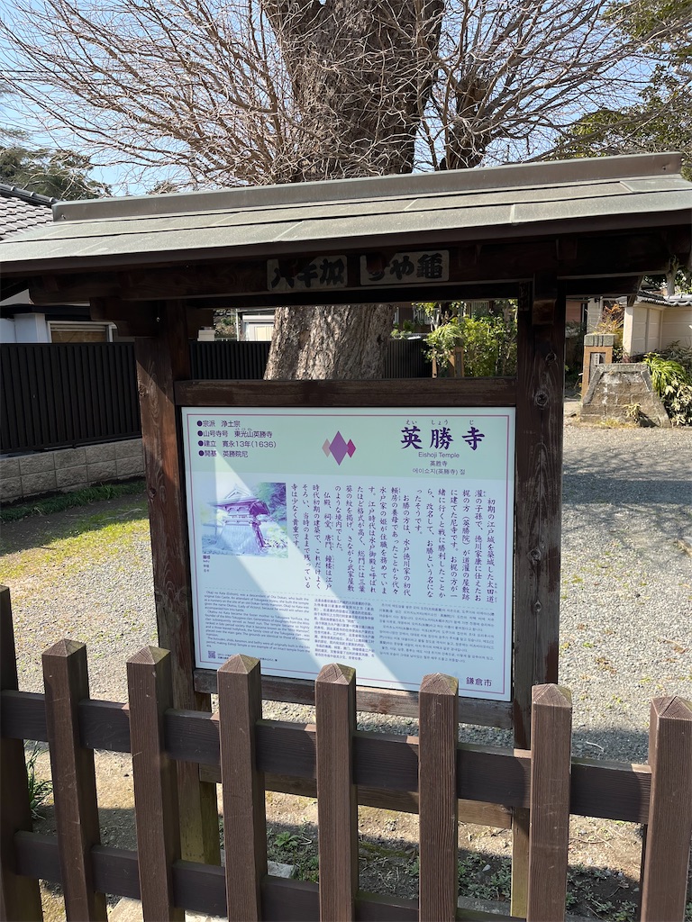 f:id:sugimari39108:20240317160729j:image