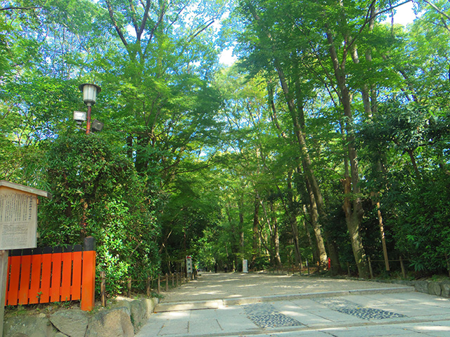 f:id:sugimonmon:20151021112255j:plain