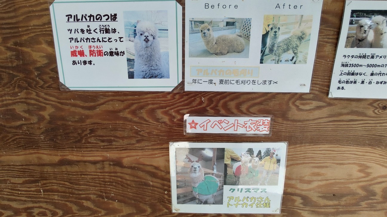 f:id:sugimoto2025:20260517113138j:image