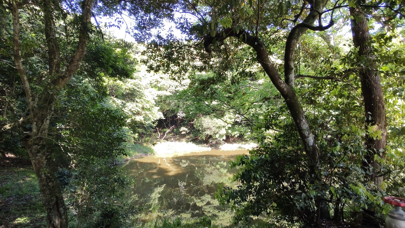 f:id:sugimoto2025:20260517114423j:image f:id:sugimoto2025:20260517114423j:image