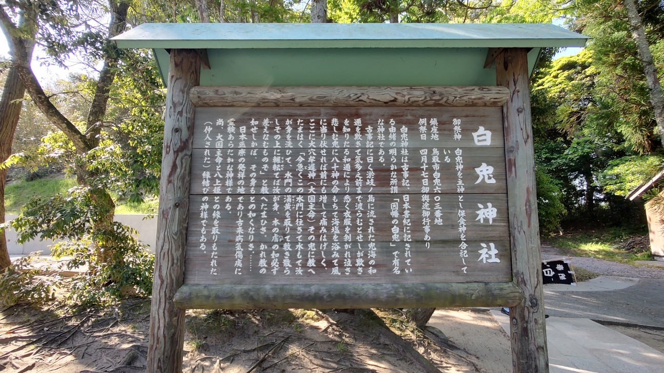 f:id:sugimoto2025:20260517114427j:image f:id:sugimoto2025:20260517114427j:image