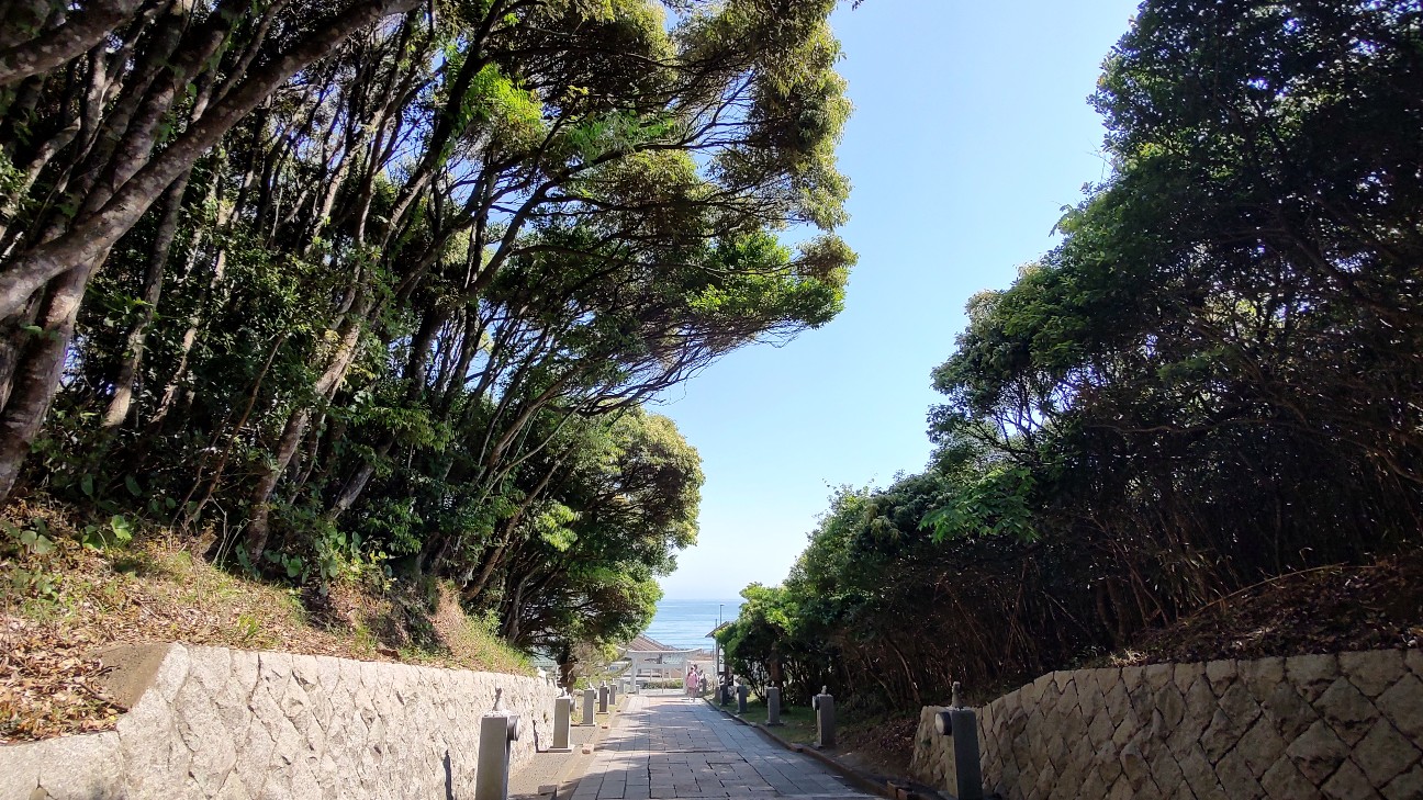 f:id:sugimoto2025:20260517114430j:image f:id:sugimoto2025:20260517114430j:image