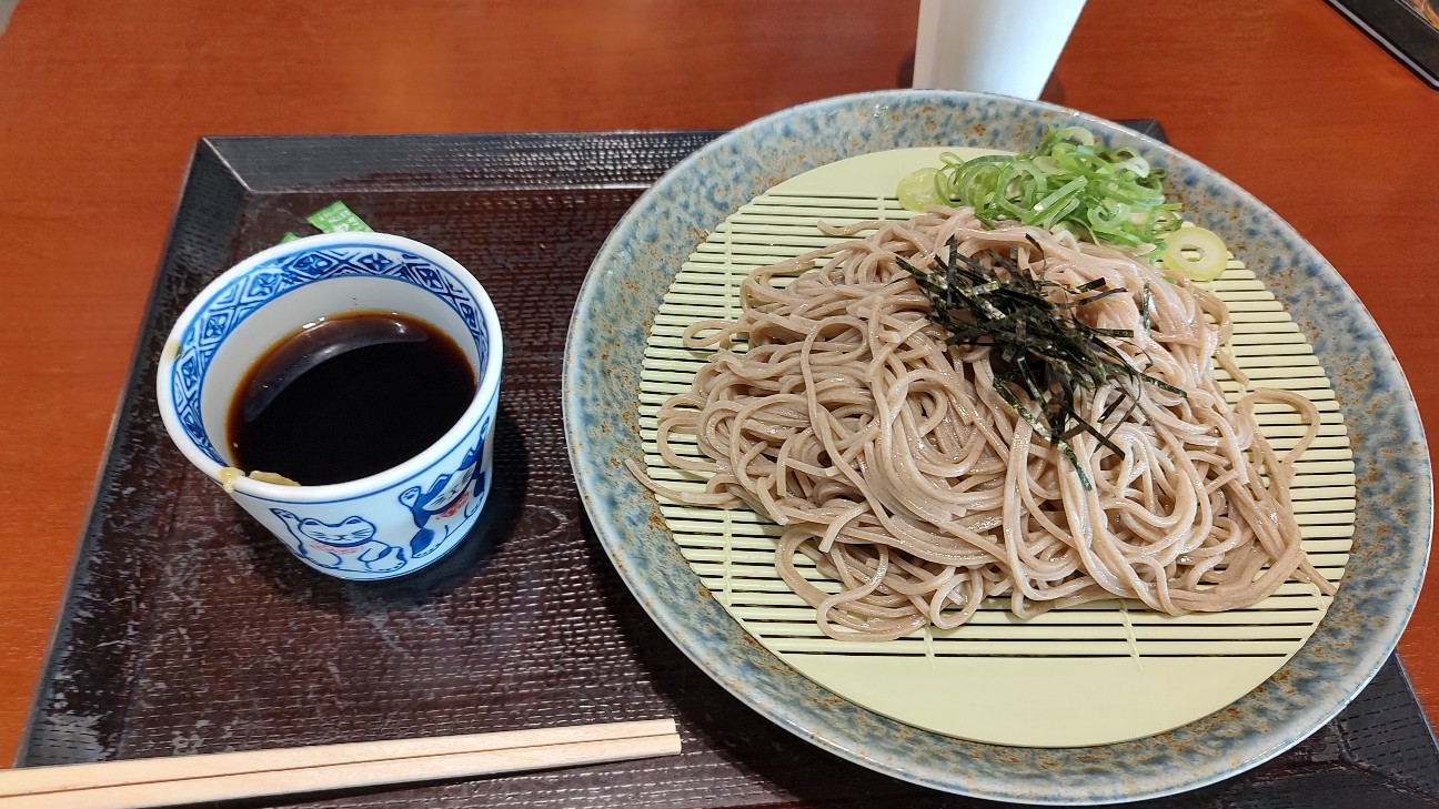 f:id:sugimoto2025:20260517114507j:image f:id:sugimoto2025:20260517114507j:image