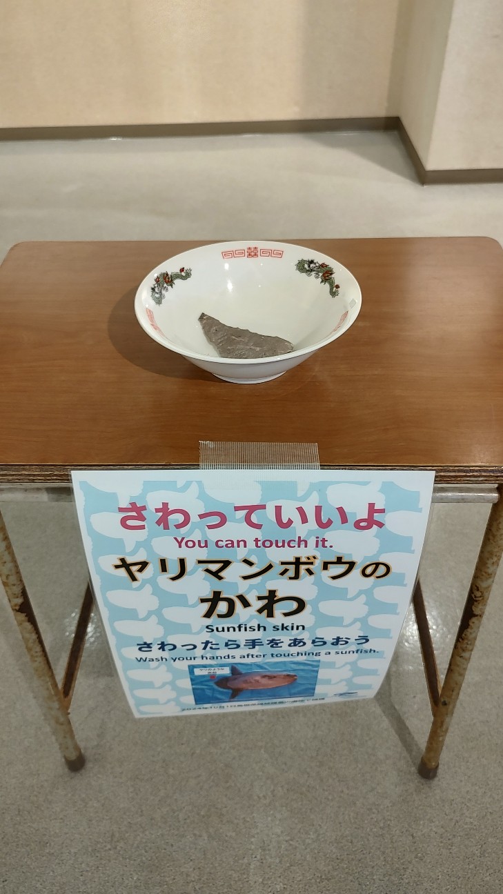 f:id:sugimoto2025:20260517115448j:image