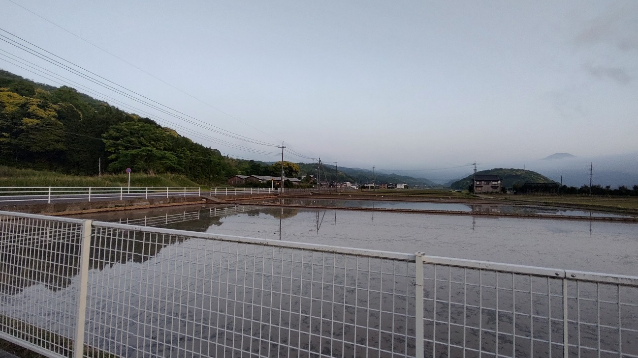 f:id:sugimoto2025:20260517115514j:image