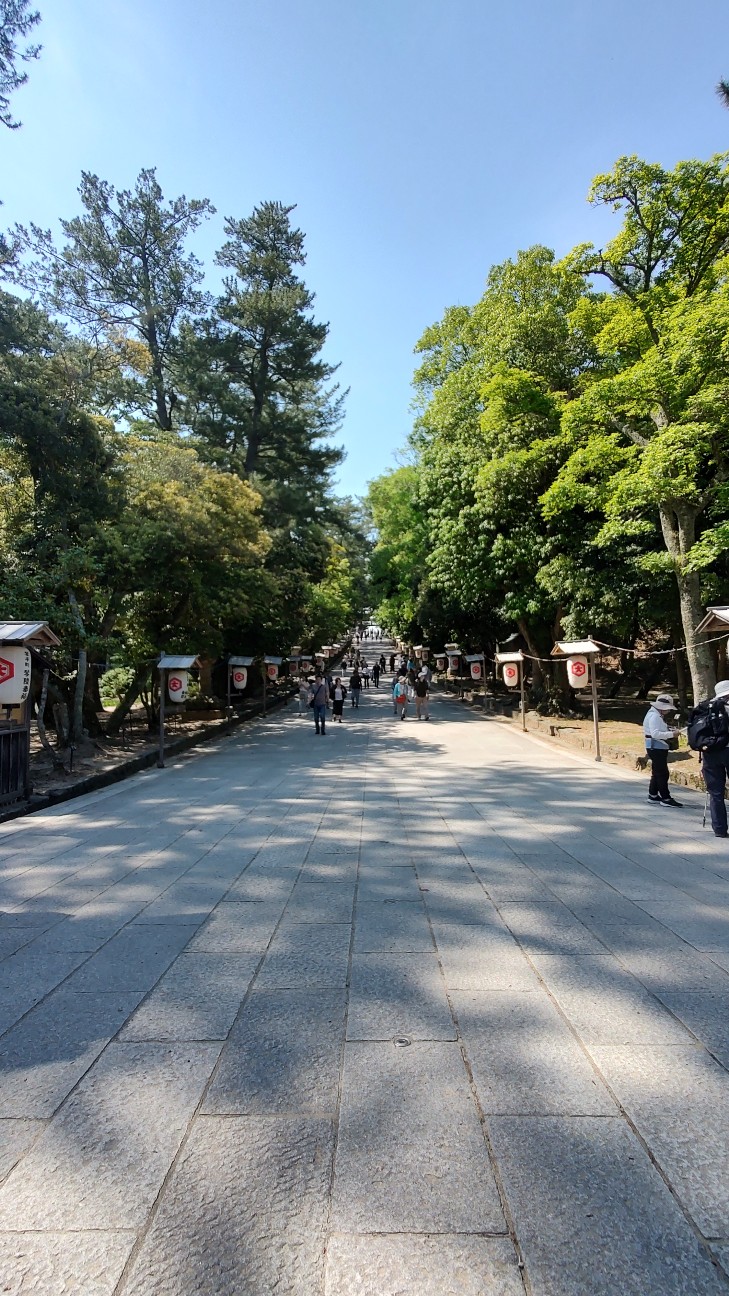 f:id:sugimoto2025:20260517120329j:image