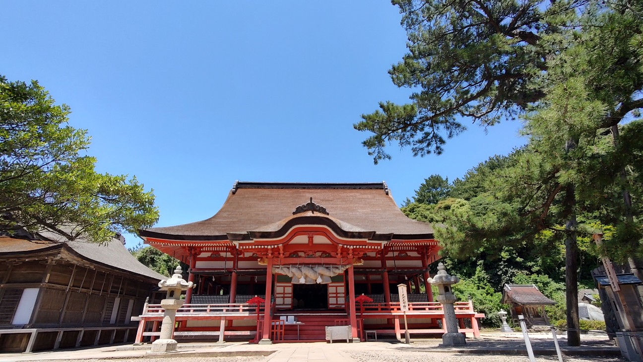 f:id:sugimoto2025:20260517120340j:image
